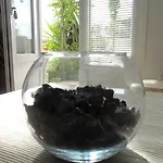 佩拉公寓 赫瓦尔