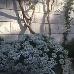 公寓 佩拉公寓 赫瓦尔