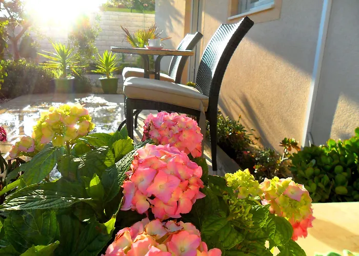 아파트 아파트먼트 페라