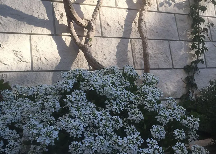 아파트 아파트먼트 페라 흐바르